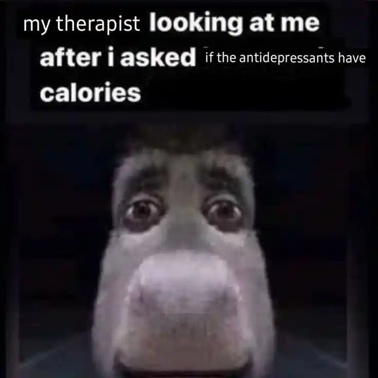 Donkey staring meme therapist stares after you ask antidepressants calories
