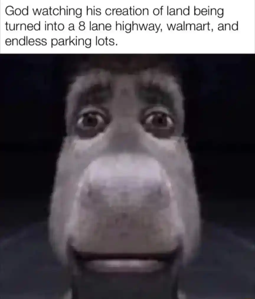Donkey staring meme god see land turn to walmart