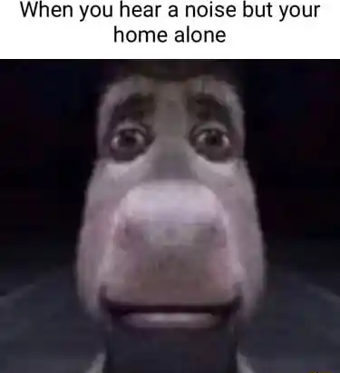 Donkey staring meme spooked by noise home alone