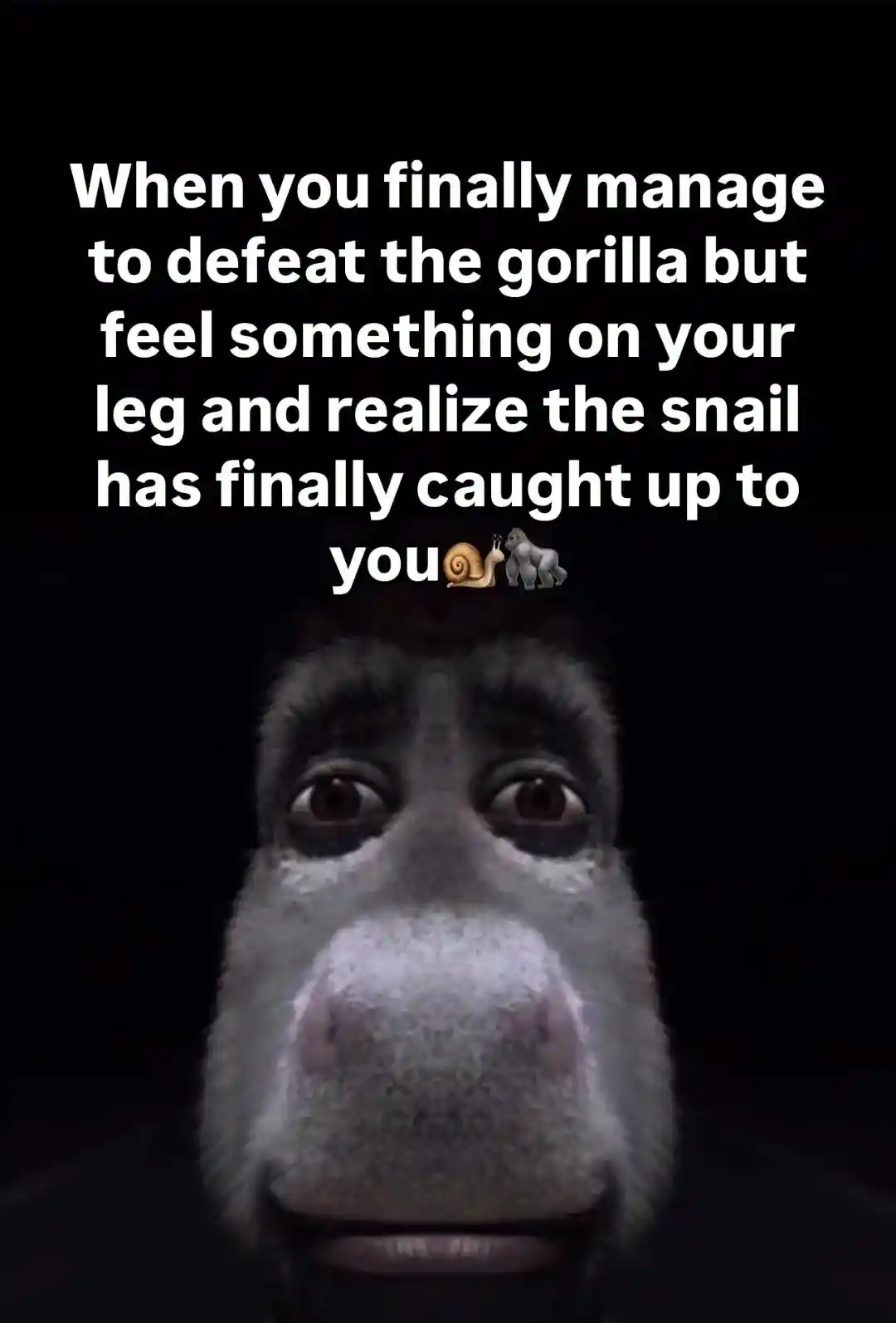 Donkey staring meme defeat gorilla then realize snail caught up to you