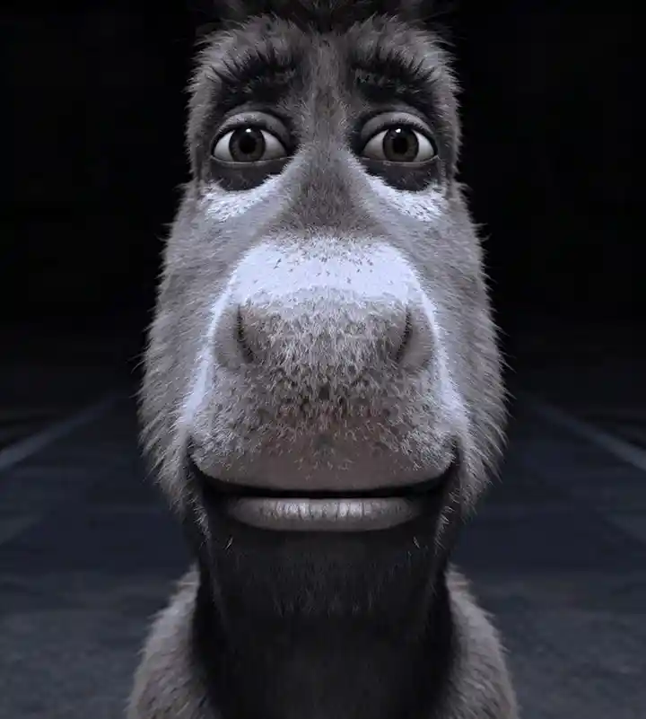Donkey staring meme template