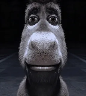 Donkey staring memes perfect for silent disbelief