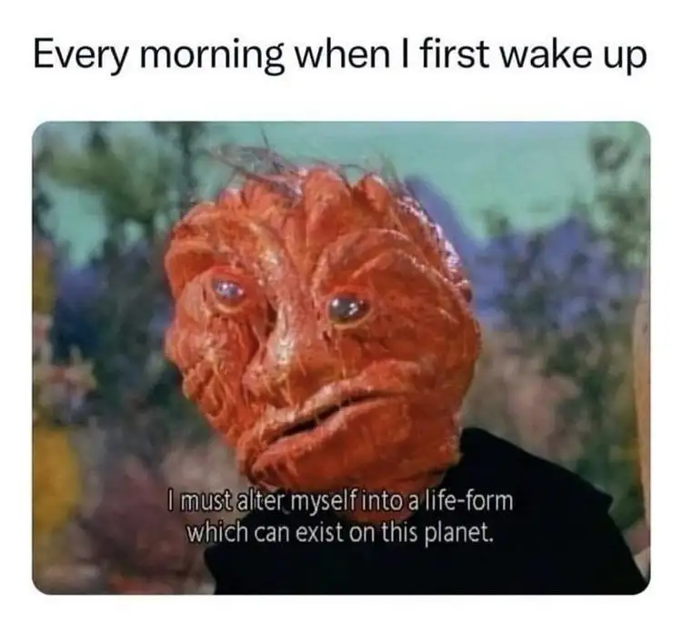Wake up alien meme feels unfit to exist