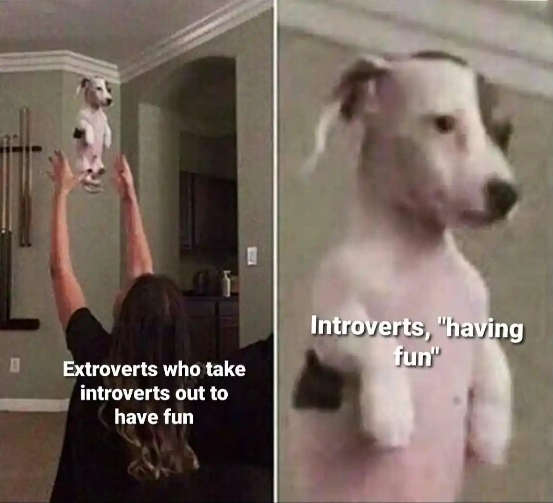 Introvert extrovert meme forced fun time
