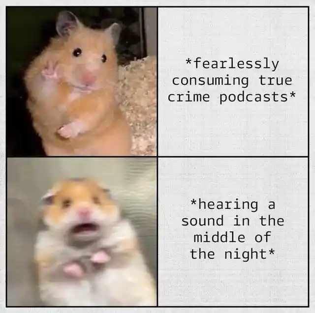 True crime hamster meme getting scared at night
