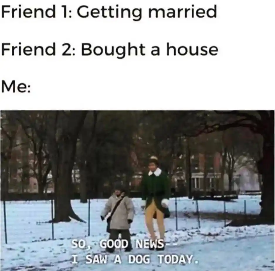 Friends big life wins me saw a dog meme