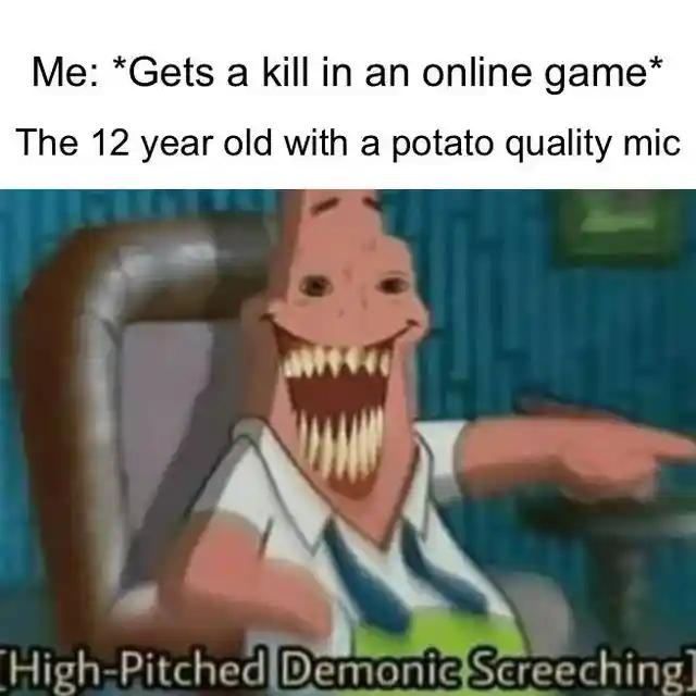 Online game kill meme 12 year old screeching madly