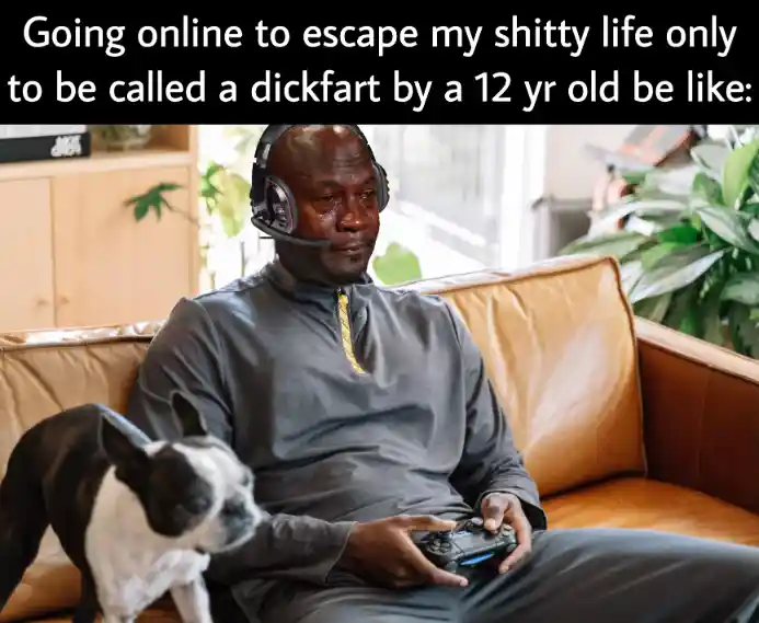 12yo roasts gamer meme sad online gaming