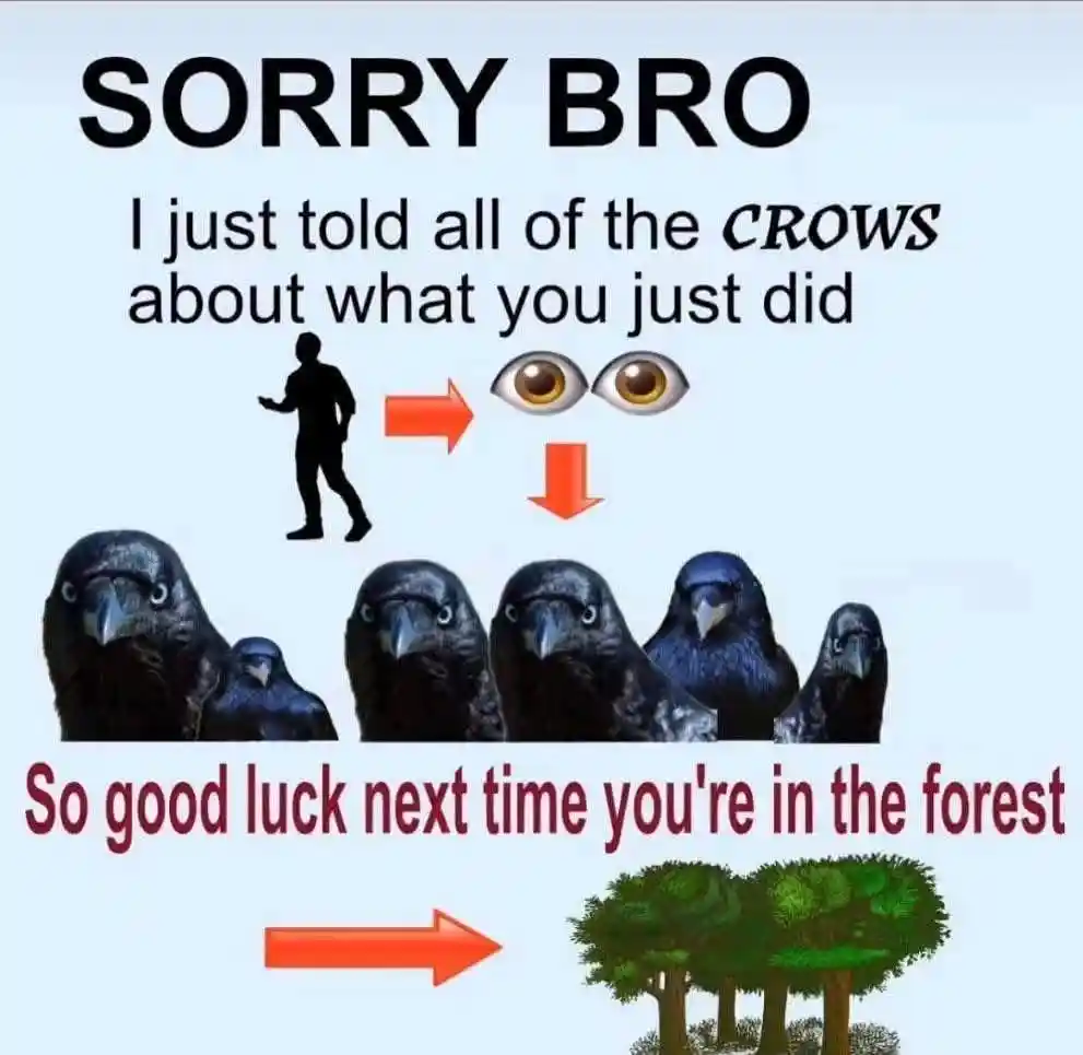 Tell crows meme prank friend in forest
