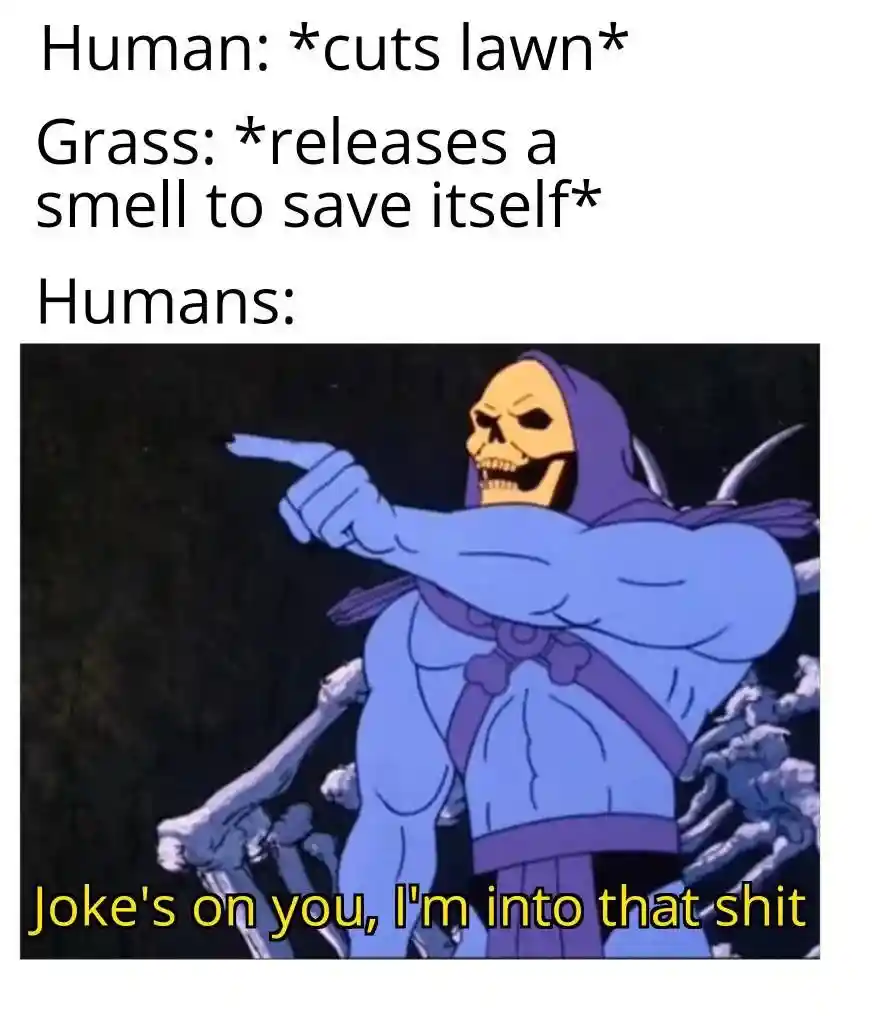 Skeletor meme likes fresh cut grass scent