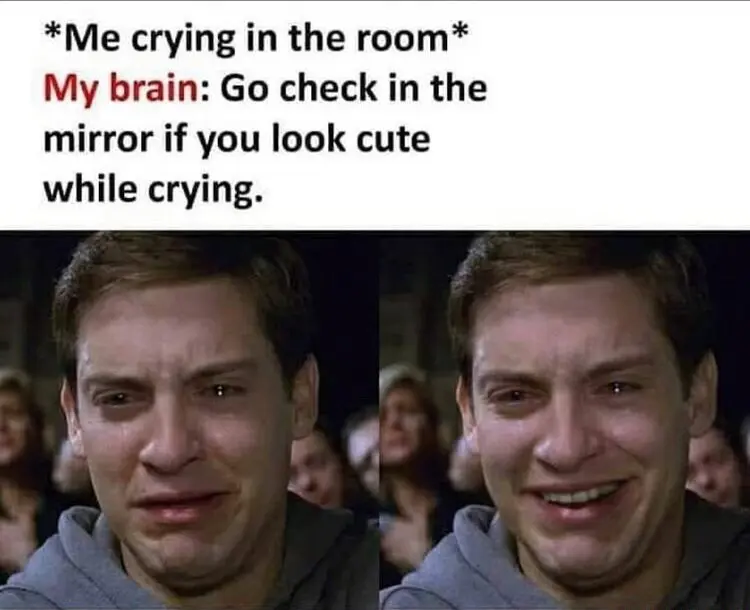 Happy crying peter parker meme checking mirror