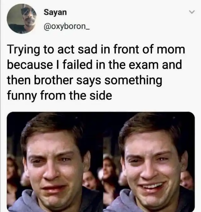 Happy crying peter parker meme can't stay sad