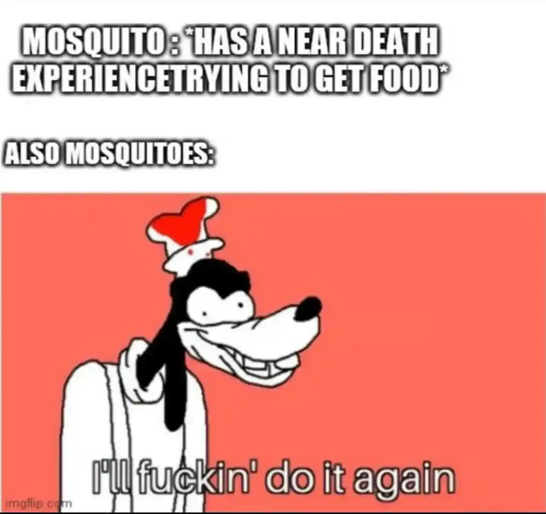 Mosquito near death meme get food again