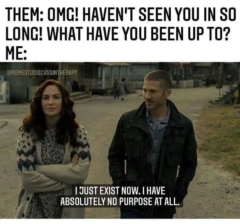 Long time no see meme saying you have no purpose