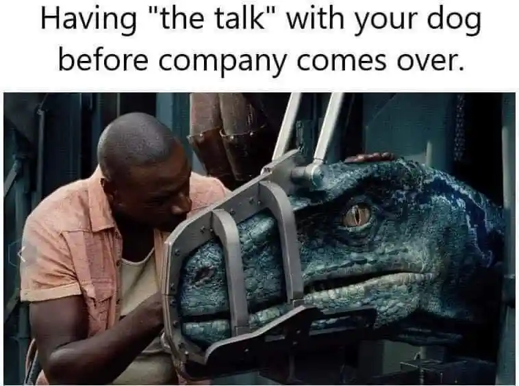 Dog talk meme before company comes over