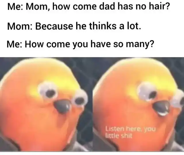 Bald dad hair joke meme annoys mom