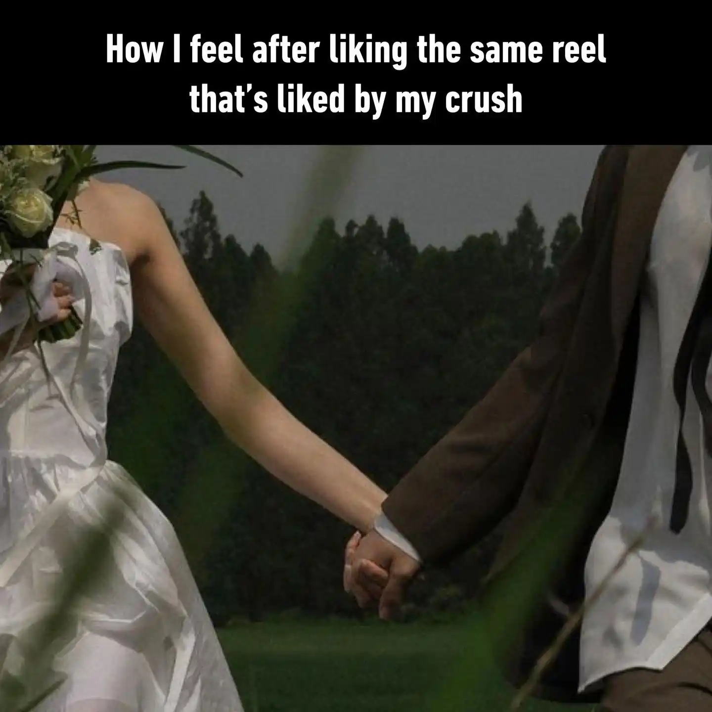 Liking crush reel meme feel married