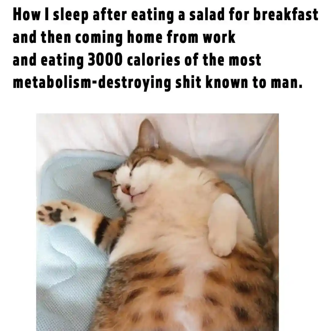 Overeating meme sleeping deeply after work
