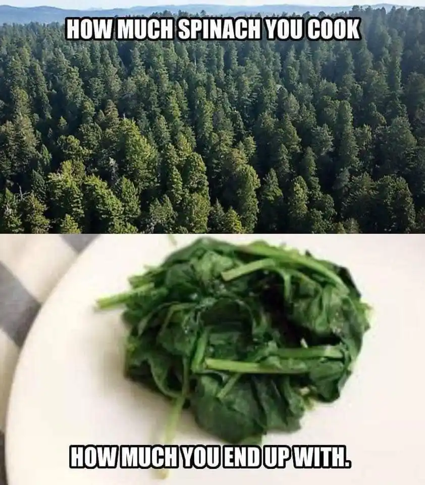 Spinach cook meme huge shrink joke