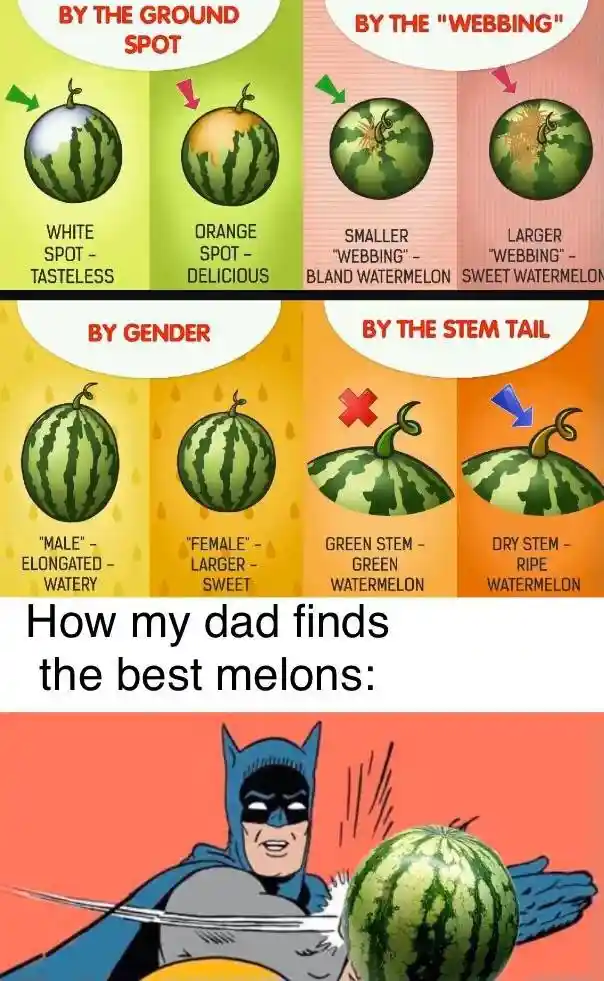 Dad picks best melon meme slapping melon