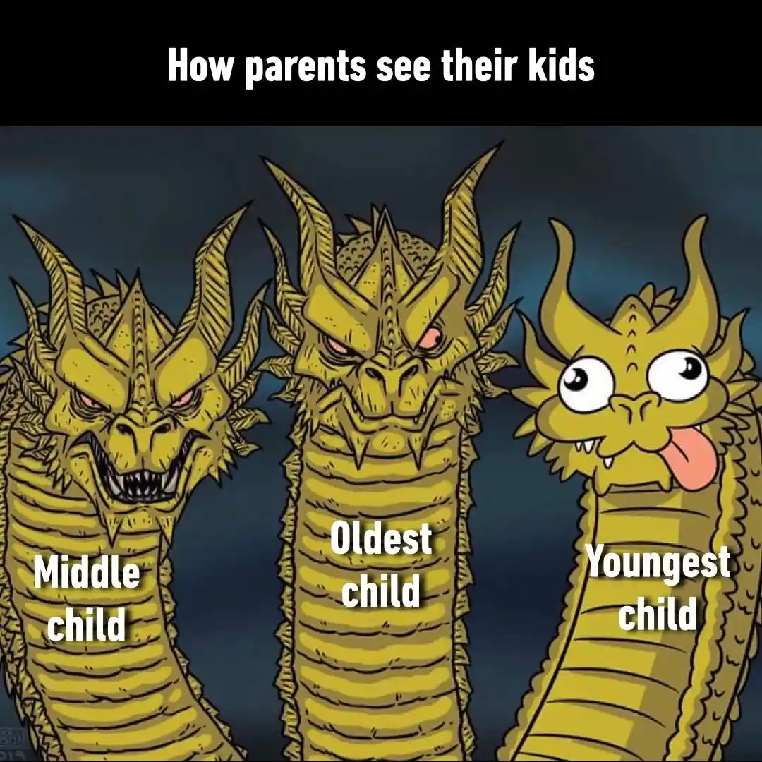 Birth order meme show parents see kids