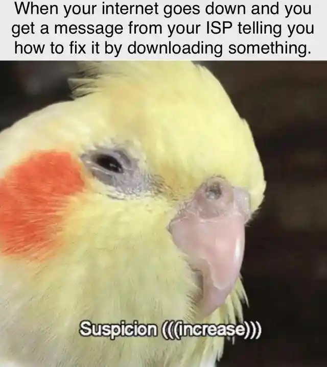 Outage isp fix meme parrot has suspicion