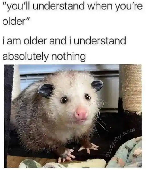 Opossum getting older meme understands absolutely nothing