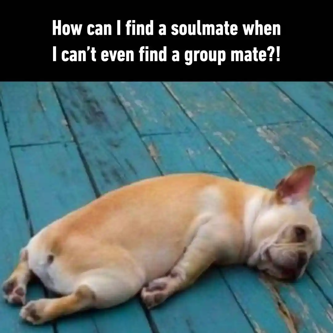 No group mate meme tired over soulmate