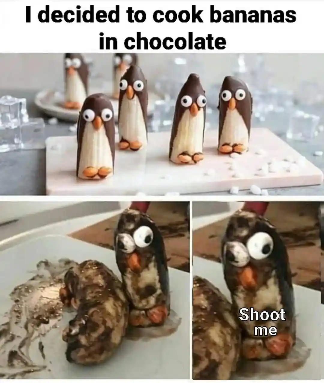 Chocolate banana penguin meme begs death