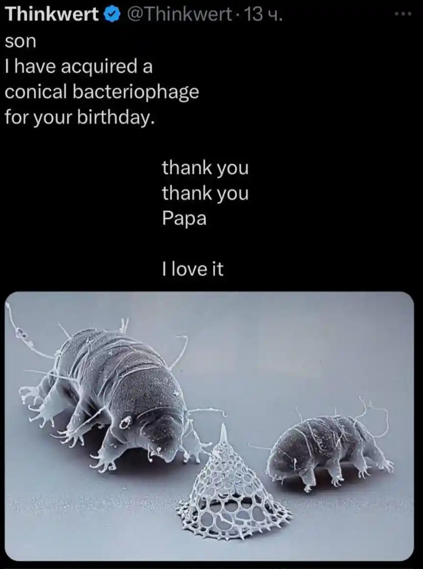 Conical bacteriophage birthday gift meme water bear son loves it