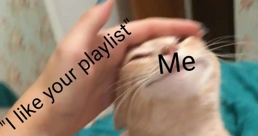 I like your playlist meme me very happy