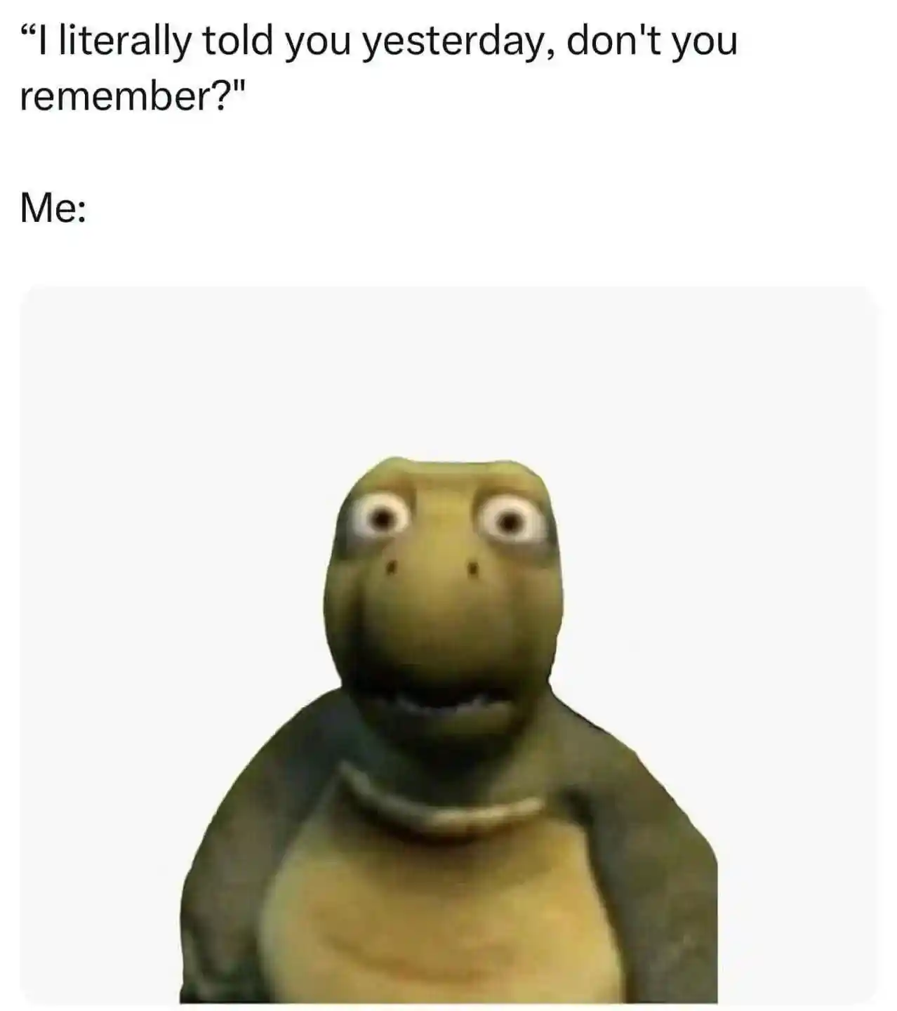 Confused turtle meme blankly forgetting what was told
