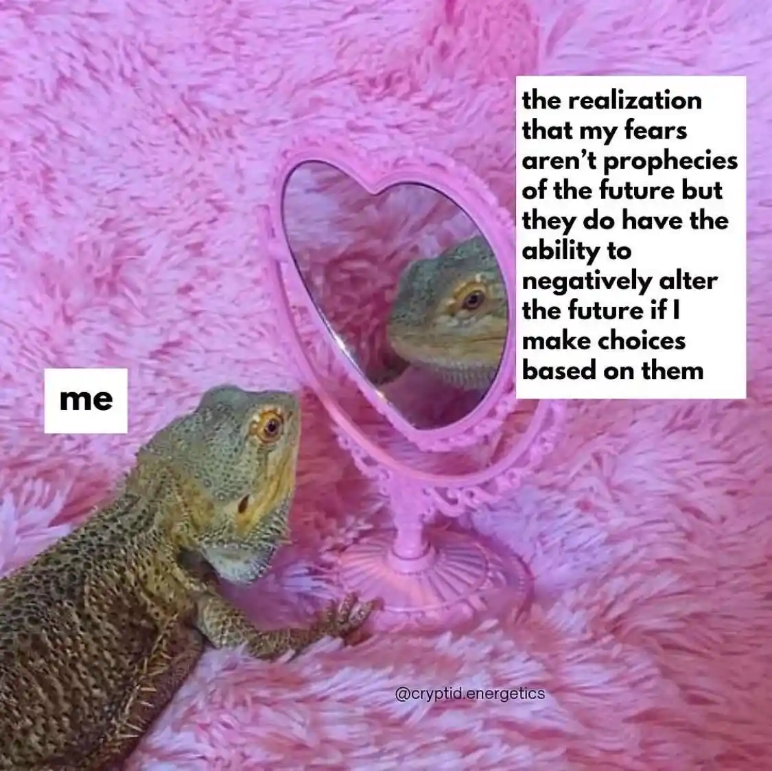 Lizard mirror meme realizing fear impact