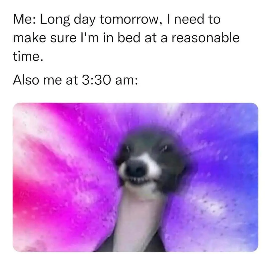 Bedtime Plan Fail Meme Staying Up At 3am