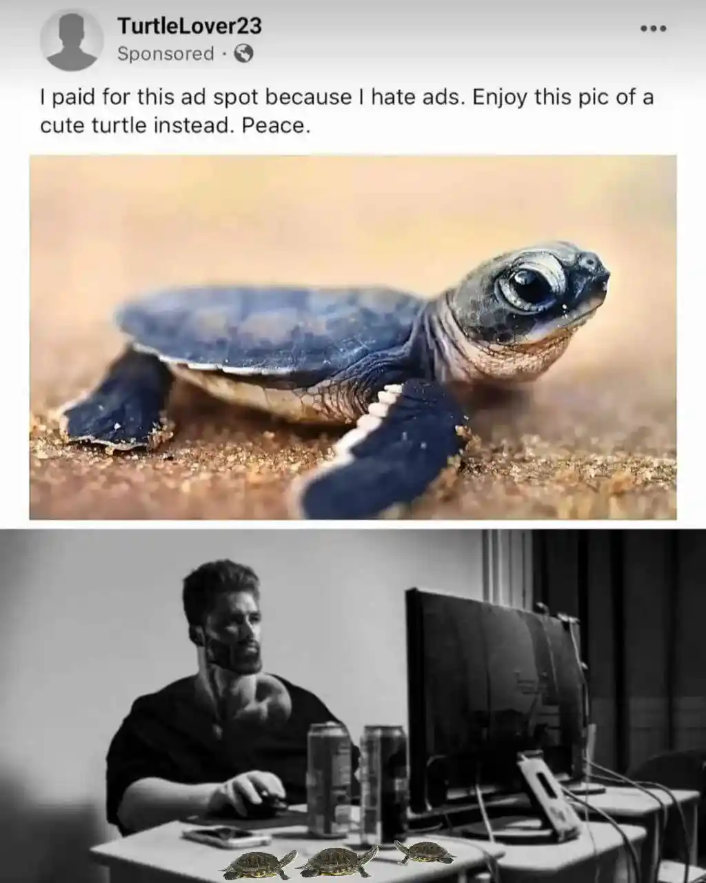 Depressed wojak meme pays for ad to show cute turtle