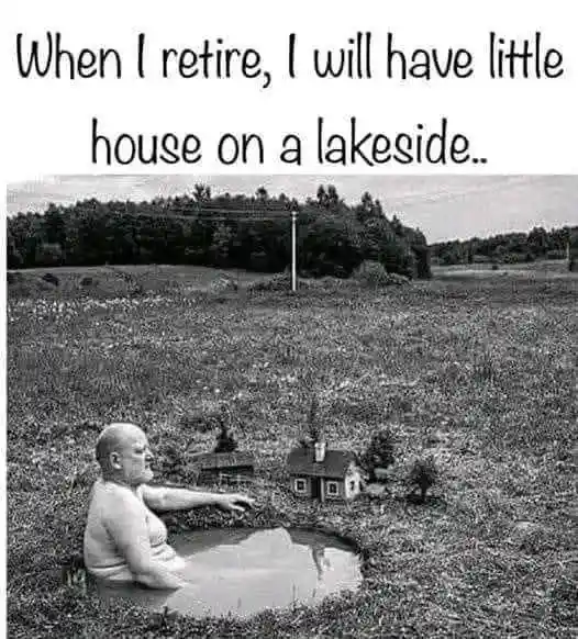 Retirement plan meme man in tiny puddle