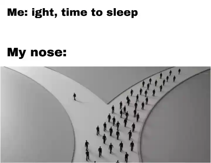 Bedtime nose meme full of people walking