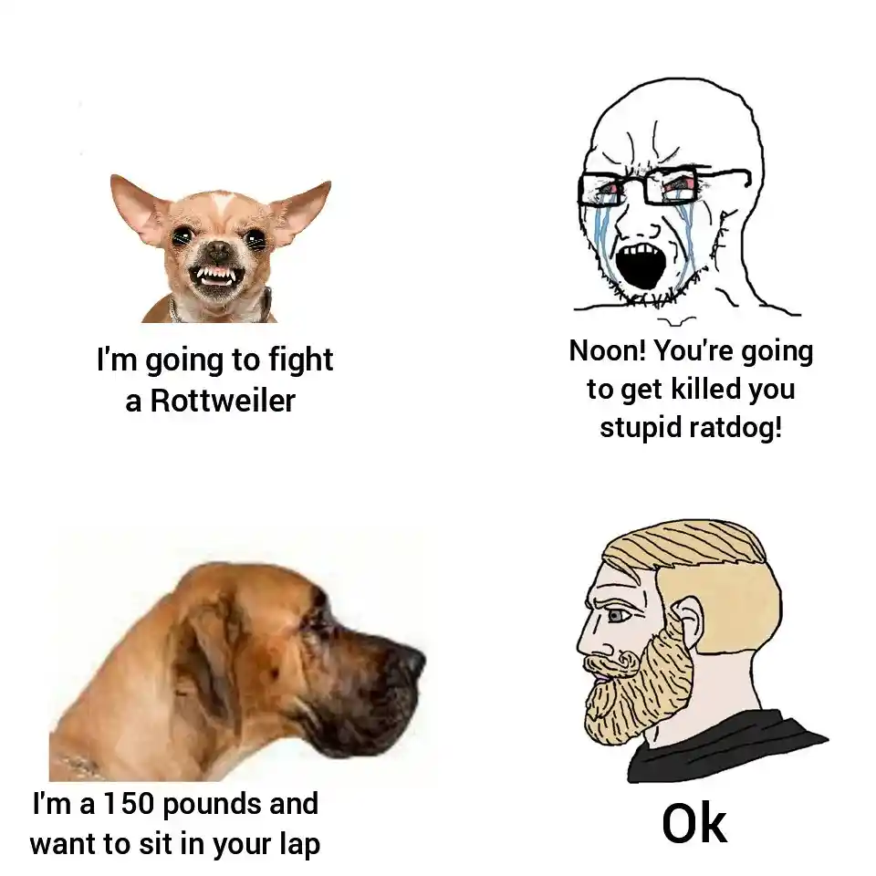 Chihuahua fight big dog meme crying soyjak calm chad