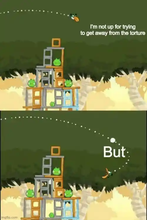 Angry birds meme flying to avoid torture