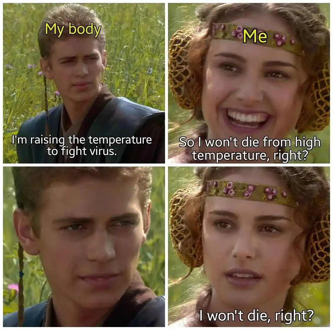 Anakin padme meme scared over high fever