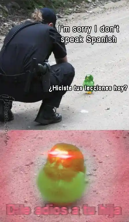 Spanish bird meme stumps non spanish cop