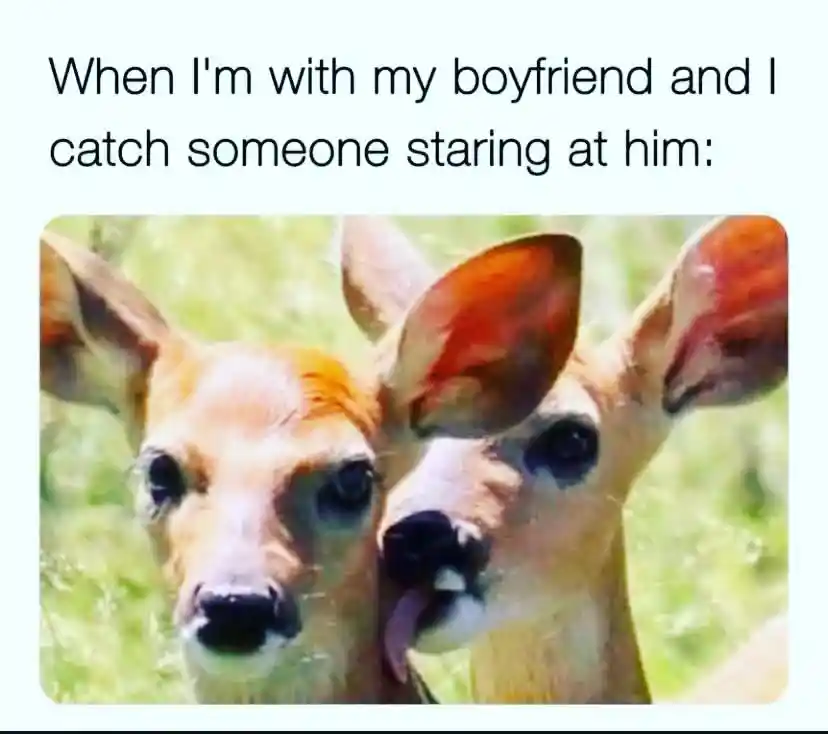Girlfriend deer meme licks partner when people stare