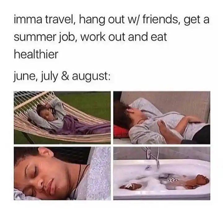 Summer break plans meme lazing around all summer