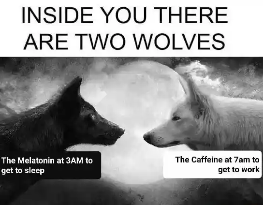 Two wolves meme melatonin caffeine fight