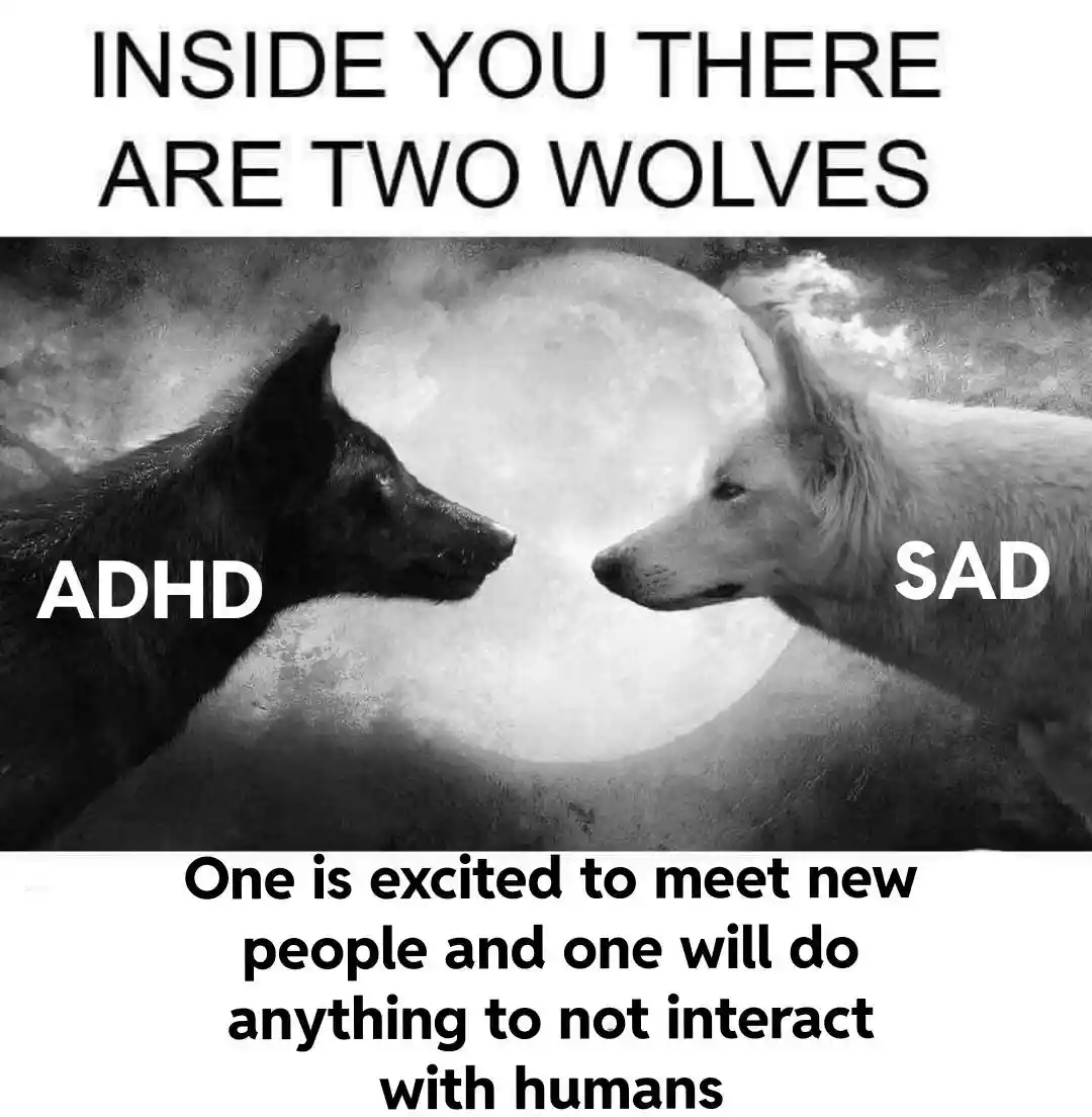 Two wolves meme adhd sad social conflict