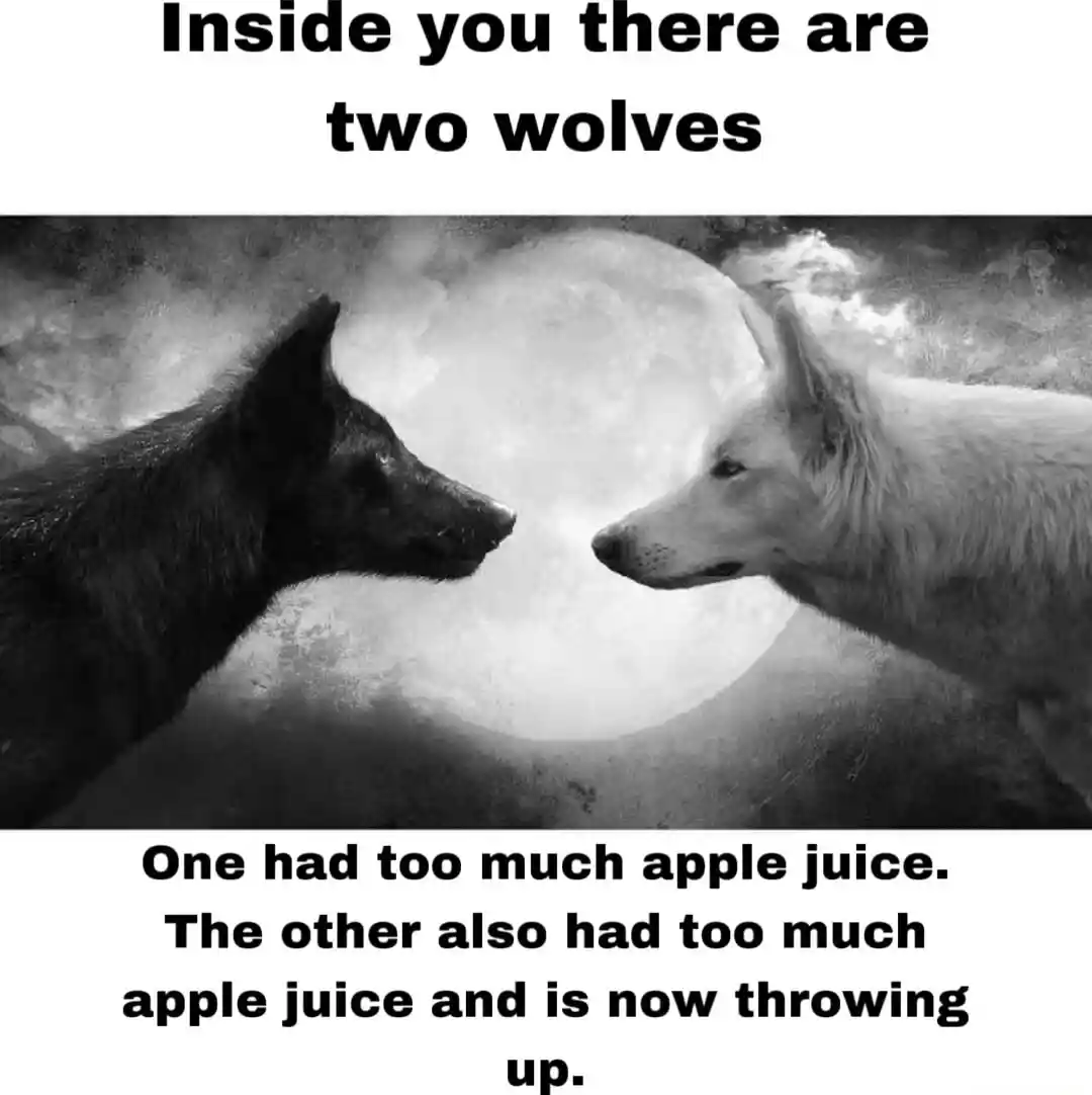 Two wolves meme had too much apple juice