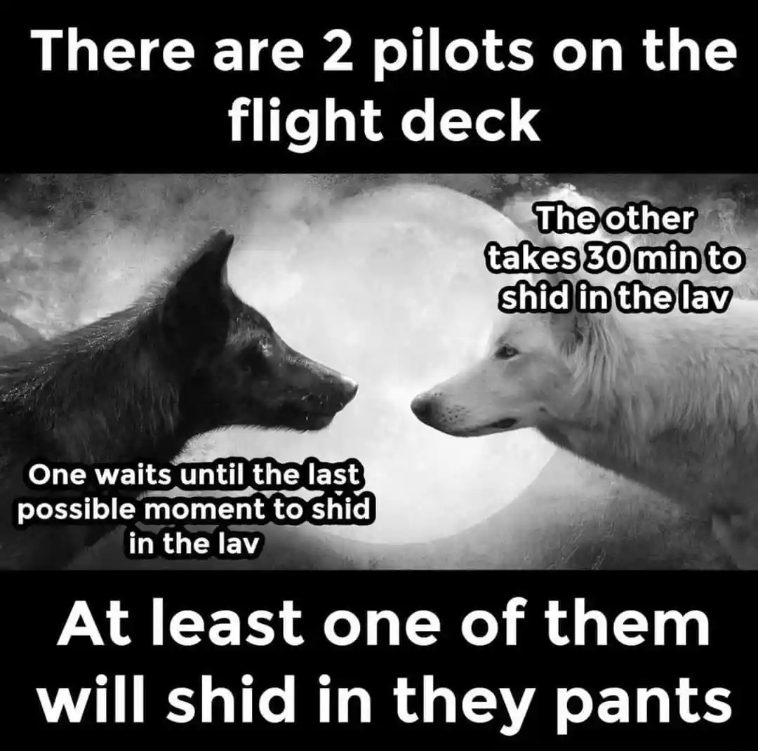 Two wolves meme pilots shid in lav pants