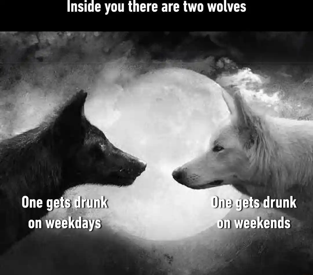 Two wolves meme drunk on workdays weekends