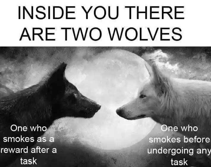 Two wolves meme show two smoking habits
