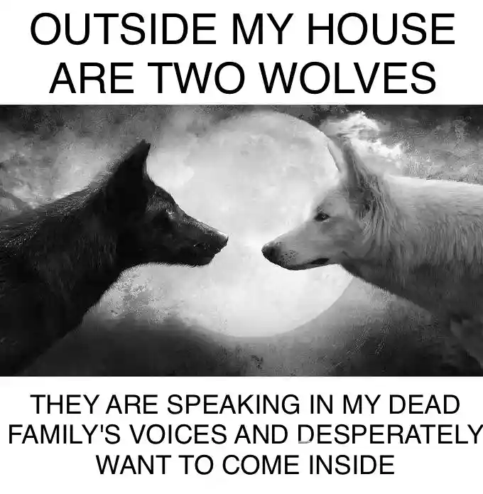 Two wolves meme outside want to come in